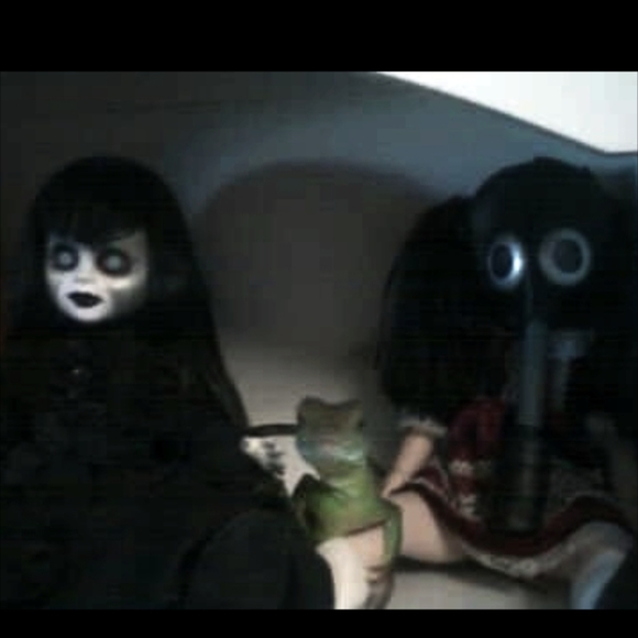 Meet your Posher, Misty - Picture 3 of 4